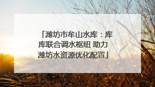 潍坊市牟山水库：库库联合调水枢纽 助力潍坊水资源优化配置