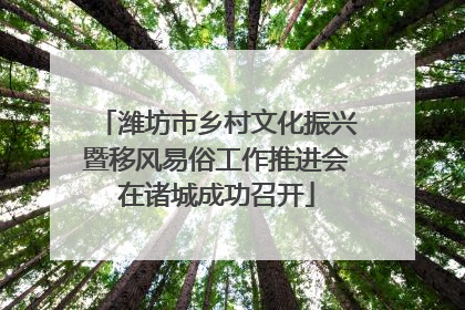 潍坊市乡村文化振兴暨移风易俗工作推进会在诸城成功召开