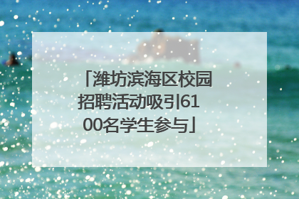 潍坊滨海区校园招聘活动吸引6100名学生参与