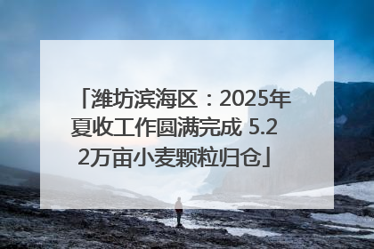 潍坊滨海区：2025年夏收工作圆满完成 5.22万亩小麦颗粒归仓