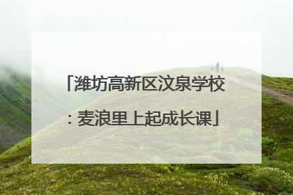 潍坊高新区汶泉学校：麦浪里上起成长课