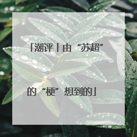潮评丨由“苏超”的“梗”想到的