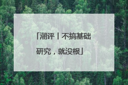 潮评丨不搞基础研究，就没根