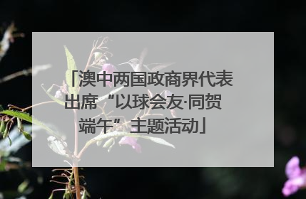 澳中两国政商界代表出席“以球会友·同贺端午”主题活动