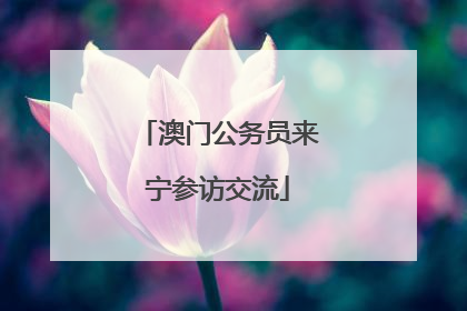 澳门公务员来宁参访交流