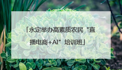 永定举办高素质农民“直播电商+AI”培训班