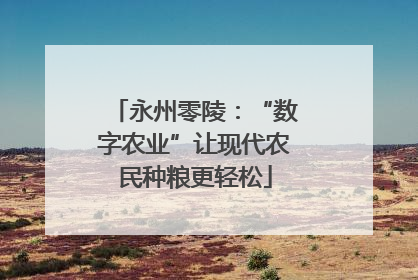 永州零陵：“数字农业”让现代农民种粮更轻松