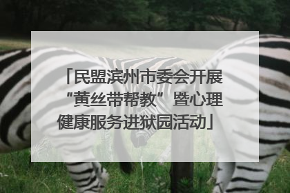 民盟滨州市委会开展“黄丝带帮教”暨心理健康服务进狱园活动