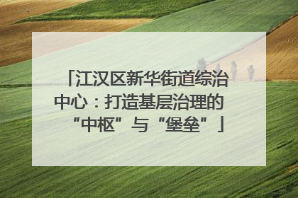 江汉区新华街道综治中心：打造基层治理的“中枢”与“堡垒”