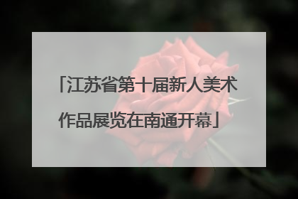 江苏省第十届新人美术作品展览在南通开幕