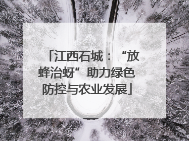 江西石城：“放蜂治蚜”助力绿色防控与农业发展