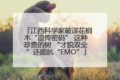 江西科学家破译花榈木“遗传密码” 这种珍贵的树 “才貌双全”还能抗“EMO”