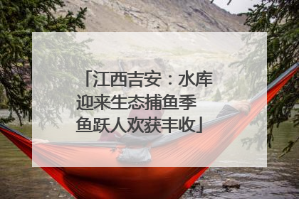 江西吉安：水库迎来生态捕鱼季 鱼跃人欢获丰收
