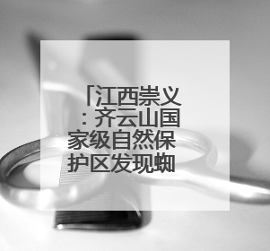 江西崇义：齐云山国家级自然保护区发现蜘蛛新种