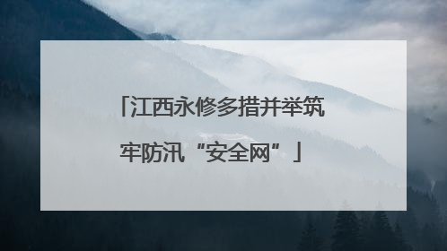 江西永修多措并举筑牢防汛“安全网”