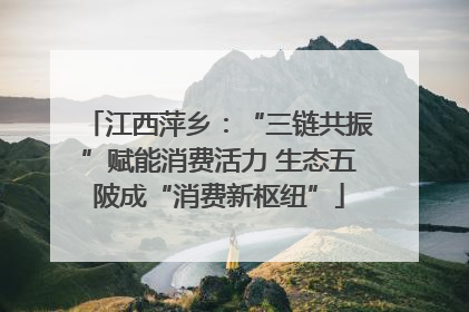 江西萍乡：“三链共振”赋能消费活力 生态五陂成“消费新枢纽”