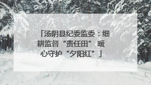 汤阴县纪委监委：细耕监督“责任田” 暖心守护“夕阳红”