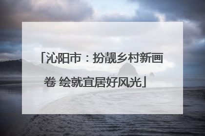 沁阳市：扮靓乡村新画卷 绘就宜居好风光