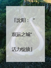 沈阳：“双运之城”活力绽放