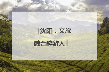 沈阳：文旅融合醉游人