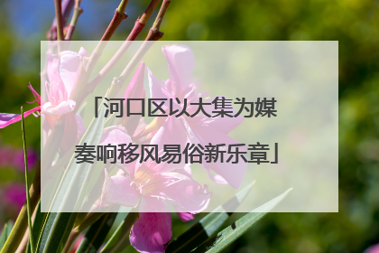 河口区以大集为媒 奏响移风易俗新乐章