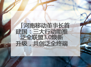 河南移动董事长首建国：三大行动助推泛全联盟3.0焕新升级，共创泛全终端万亿级产业生态