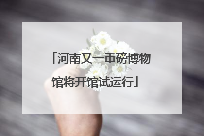 河南又一重磅博物馆将开馆试运行