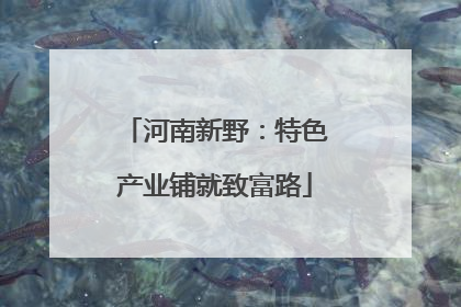 河南新野：特色产业铺就致富路