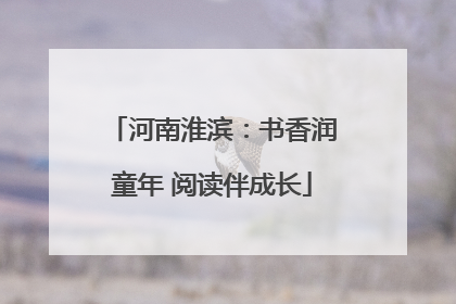 河南淮滨：书香润童年 阅读伴成长