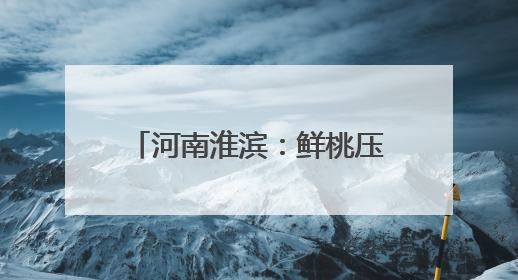 河南淮滨：鲜桃压枝香 采摘正当时