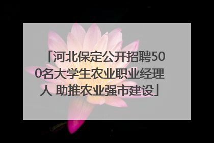 河北保定公开招聘500名大学生农业职业经理人 助推农业强市建设