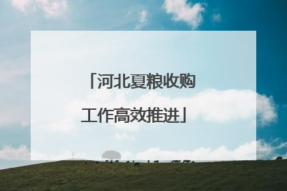 河北夏粮收购工作高效推进