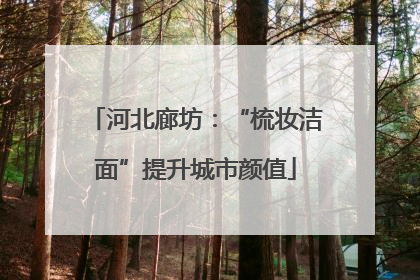 河北廊坊：“梳妆洁面”提升城市颜值