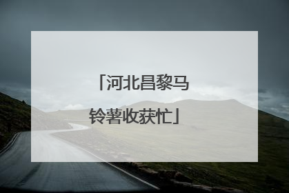 河北昌黎马铃薯收获忙