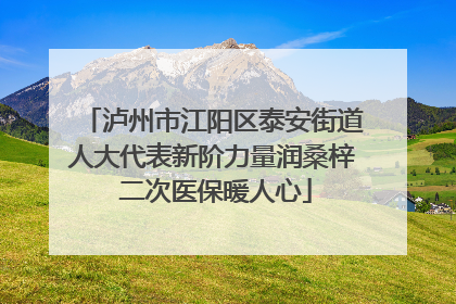 泸州市江阳区泰安街道人大代表新阶力量润桑梓 二次医保暖人心
