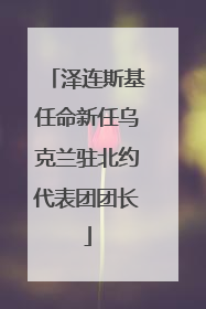 泽连斯基任命新任乌克兰驻北约代表团团长