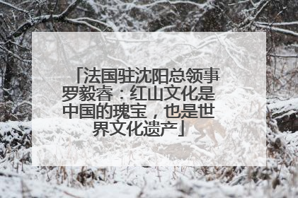 法国驻沈阳总领事罗毅睿：红山文化是中国的瑰宝，也是世界文化遗产
