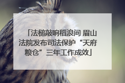 法槌敲响稻浪间 眉山法院发布司法保护“天府粮仓”三年工作成效