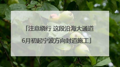 注意绕行 这段沿海大通道6月初起宁波方向封道施工