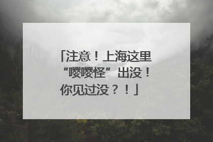 注意！上海这里“嘤嘤怪”出没！你见过没？！