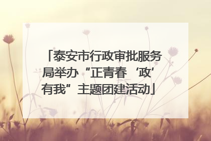 泰安市行政审批服务局举办“正青春‘政’有我”主题团建活动