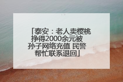 泰安：老人卖樱桃挣得2000余元被孙子网络充值 民警帮忙联系退回