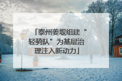 泰州姜堰组建“轻骑队”为基层治理注入新动力