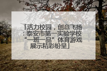 活力校园，创意飞扬：泰安市第一实验学校“一班一品”体育游戏展示精彩纷呈