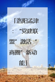 洛阳孟津：“党建联盟”激活“商圈”新动能