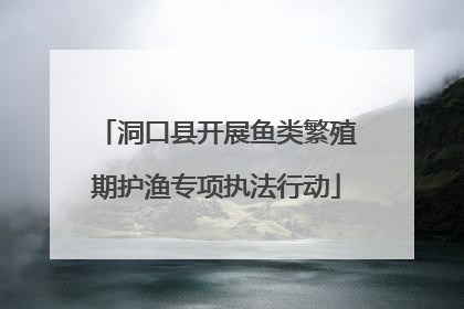 洞口县开展鱼类繁殖期护渔专项执法行动