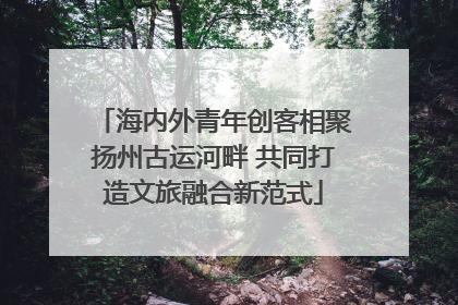 海内外青年创客相聚扬州古运河畔 共同打造文旅融合新范式