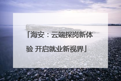 海安：云端探岗新体验 开启就业新视界