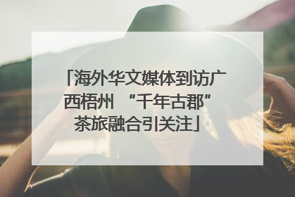 海外华文媒体到访广西梧州 “千年古郡”茶旅融合引关注