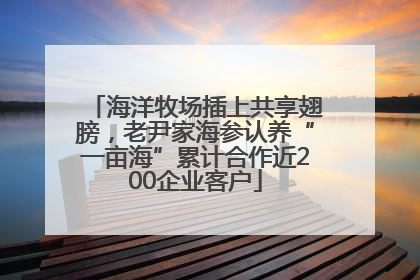 海洋牧场插上共享翅膀，老尹家海参认养“一亩海”累计合作近200企业客户